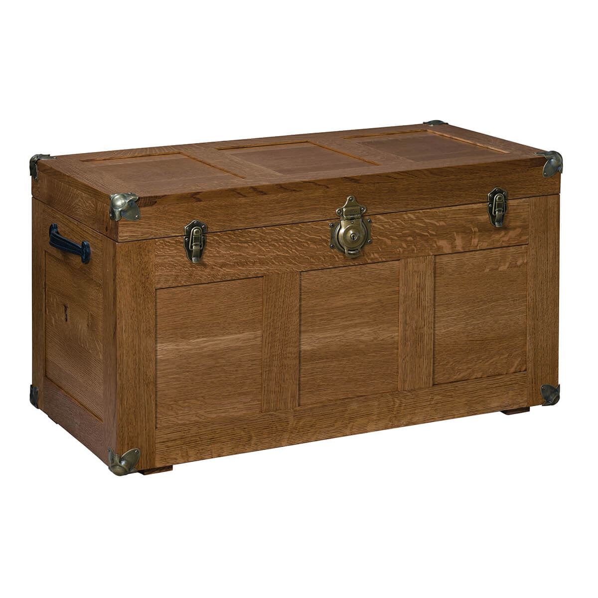 Read more about the article Triple Panel Trunk