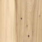elm elm
