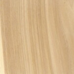 hickory hickory