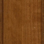 sealy cherry sealy cherry