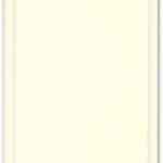 sand dollar paint sand dollar paint